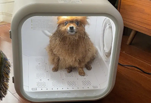 pettime宠物烘干机说明书 pettime宠物烘干机说明书