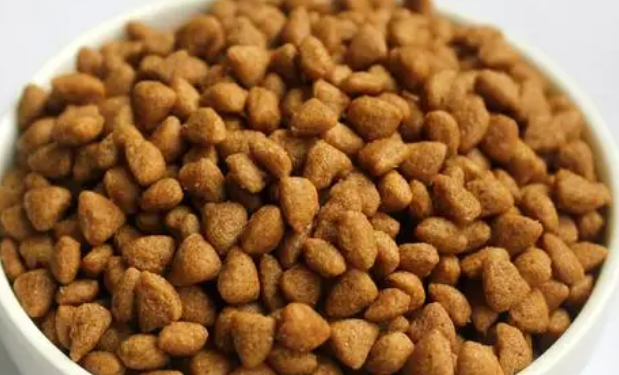 宠仔猫粮值得入手吗？