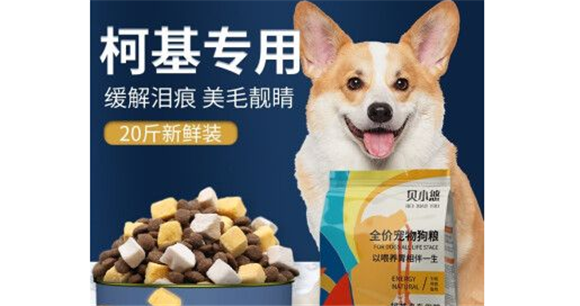 柯基狗粮如何选择牌子的