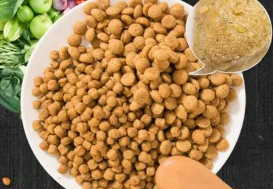 多格萨萨蜜狗粮怎么样?宠主看过来 多格萨萨蜜狗粮怎么样?宠主看过来