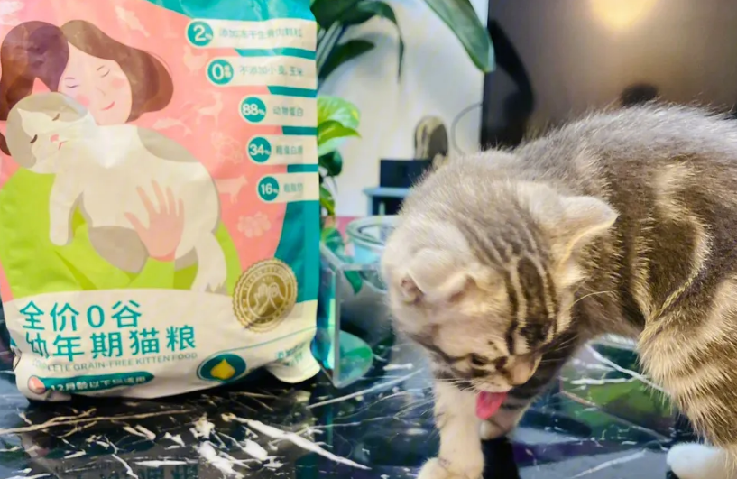 小安心猫粮是哪里产的