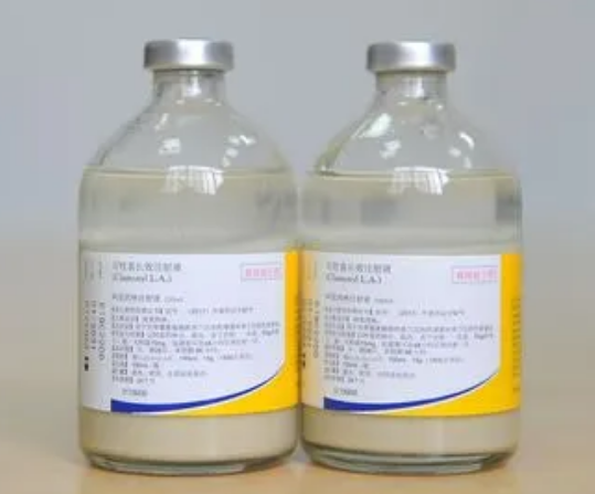 硕腾有哪些产品-宠物网