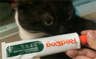 猫不吃化毛膏会怎么样吗