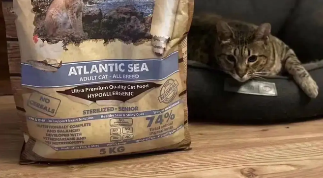 ng猫粮属于什么档次 ng猫粮属于什么档次