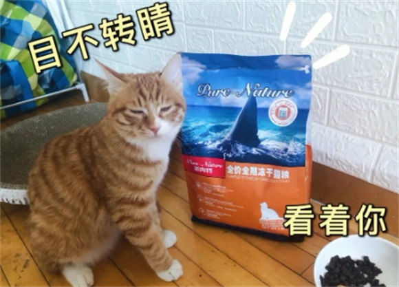 派内特猫粮质量好不好 派内特猫粮质量好不好