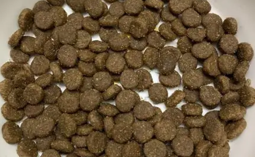 奇鲜猫粮有诱食剂吗 奇鲜猫粮有诱食剂吗