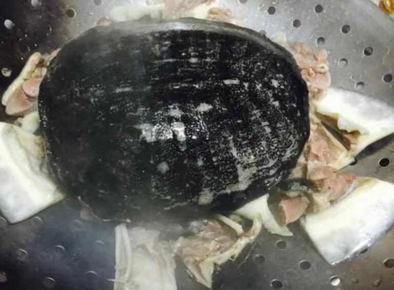 红烧甲鱼的正确做法 红烧甲鱼的正确做法