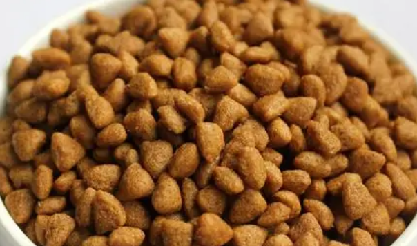 倍琪是不是毒猫粮 倍琪是不是毒猫粮