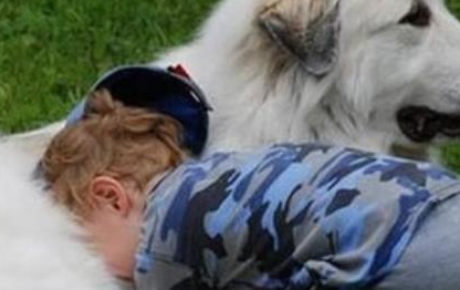 小主人把大白熊犬当马骑，威风的小模样亮了，网友：羡慕 