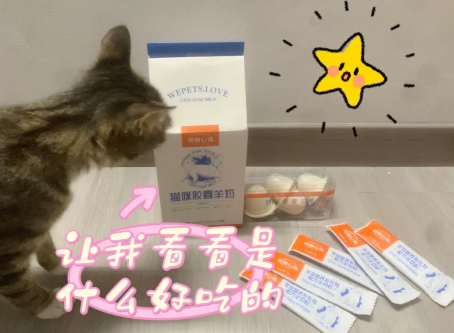 领物心选胶囊羊奶测评：给爱宠的贴心之选