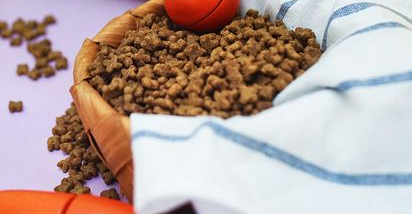 景晖宠物食品质量怎么样？你知道吗