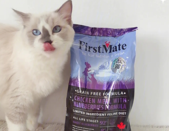 菲斯美猫粮怎么样 菲斯美猫粮怎么样