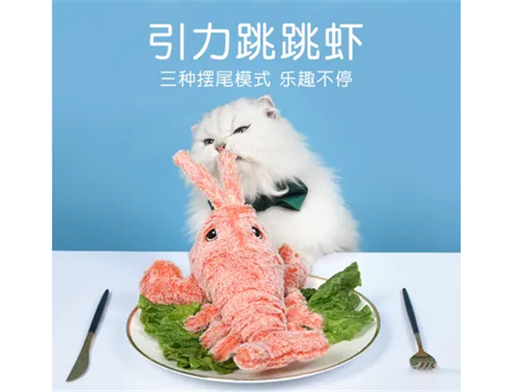 中国宠物市场飞速发展,宠有引力品牌为更多宠物服务 中国宠物市场飞速发展,宠有引力品牌为更多宠物服务