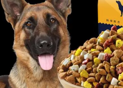 如何给德牧幼犬吃狗粮啊