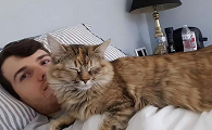猫咪为什么喜欢缠着男生