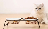 猫咪为什么喜欢跳桌子