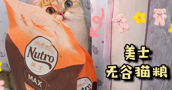 美士麦克斯猫粮价格 美士麦克斯猫粮价格