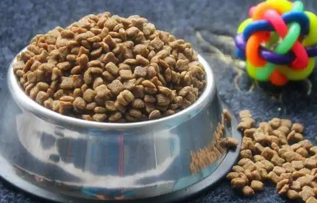 王牌宠物食品好吗？来get下吧