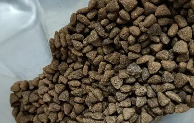 佩内特猫粮怎么样?你知道吗 佩内特猫粮怎么样?你知道吗