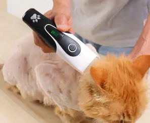 虎皮猫理发器怎么样