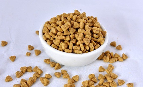 宠仔狗粮好吗 宠仔狗粮好吗