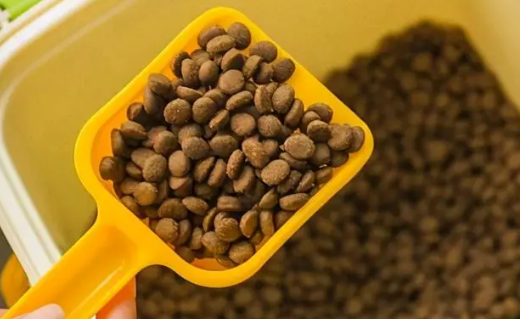 奥菲特猫粮质量好吗 奥菲特猫粮质量好吗