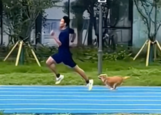 狗狗和消防员们比赛跑步，从落后到率先冲过终点，四驱的真厉害啊