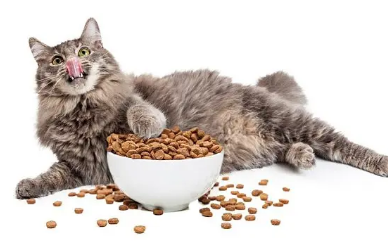 佩内特猫粮配方 佩内特猫粮配方