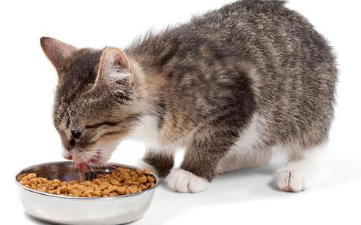 爱斯塔猫粮是国产的吗 爱斯塔猫粮是国产的吗