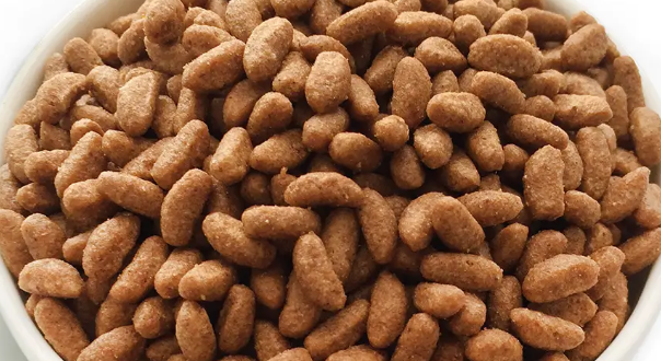 迪尤克猫粮的喂食方法：为爱猫提供健康美味