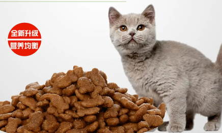 迈莱迪猫粮价格 迈莱迪猫粮价格