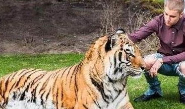 巴西人就是不一样!把7只大猫做宠物,还把宝宝放在背上! 巴西人就是不一样!把7只大猫做宠物,还把宝宝放在背上!