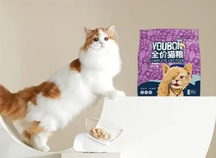 御邦猫粮算什么档次品牌