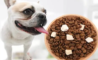 小型犬老年狗狗粮什么比较好