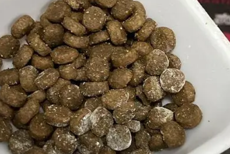 果梨派猫粮如何? 果梨派猫粮如何?