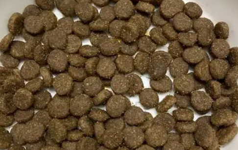 按食出动猫粮:科学营养,专注肠胃健康 按食出动猫粮:科学营养,专注肠胃健康