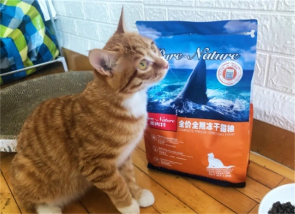 派内特猫粮生产厂家是哪里 派内特猫粮生产厂家是哪里