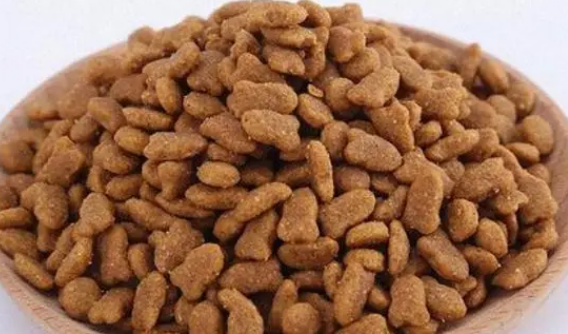按食出动猫粮:科学营养,专注肠胃健康 按食出动猫粮:科学营养,专注肠胃健康