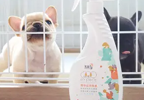 光能净宠物除臭剂怎么样？一文告诉你
