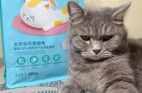 格琳斯猫粮可以吃吗