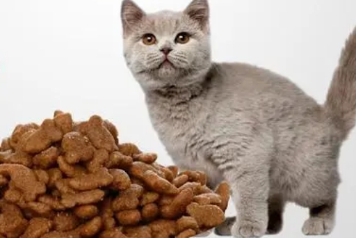 倍琪猫粮好吗 倍琪猫粮好吗