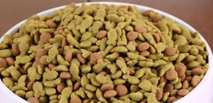 晨崛猫粮怎么那么便宜