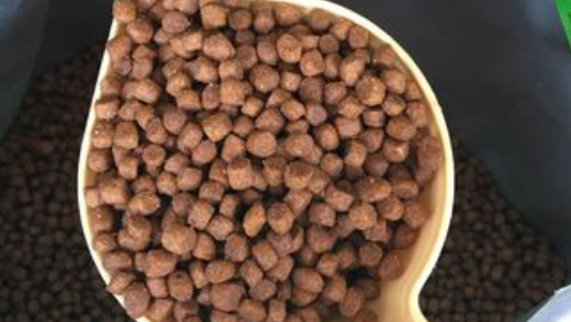 格林富特:为宠物提供高质量、营养均衡的宠物食品品牌 格林富特:为宠物提供高质量、营养均衡的宠物食品品牌