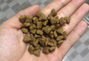 麦咖狗粮是牌子的吗 麦咖狗粮是牌子的吗