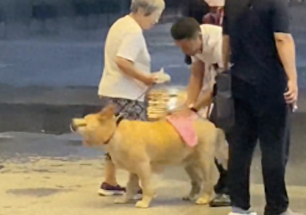 老奶奶牵着狗突遇大雨,商场保安热心招呼躲雨,还用毛巾帮狗擦干 老奶奶牵着狗突遇大雨,商场保安热心招呼躲雨,还用毛巾帮狗擦干