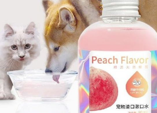 来旺兄弟宠物用品怎么样?你知道吗? 来旺兄弟宠物用品怎么样?你知道吗?