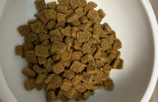 贵芬猫粮购买注意事项~ 贵芬猫粮购买注意事项~