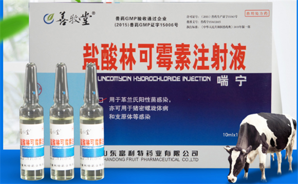兽用盐酸林可霉素注射液效果怎么样呢？