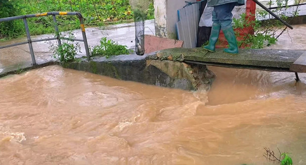深圳暴雨过后,街头满是各种鱼,市民捕捞为何专家却劝告不能吃? 深圳暴雨过后,街头满是各种鱼,市民捕捞为何专家却劝告不能吃?
