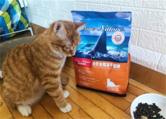 派内特猫粮是进口的吗 派内特猫粮是进口的吗